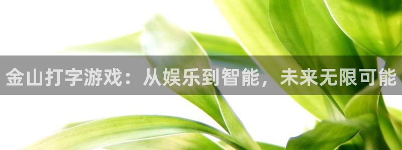 杏宇娱乐4招商：金山打字游戏：从娱乐到智能，未来无限可能